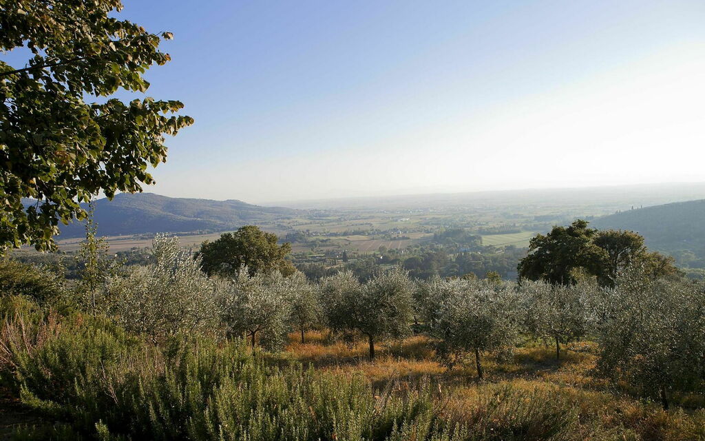 Villa Bentivoglio in Cortona
