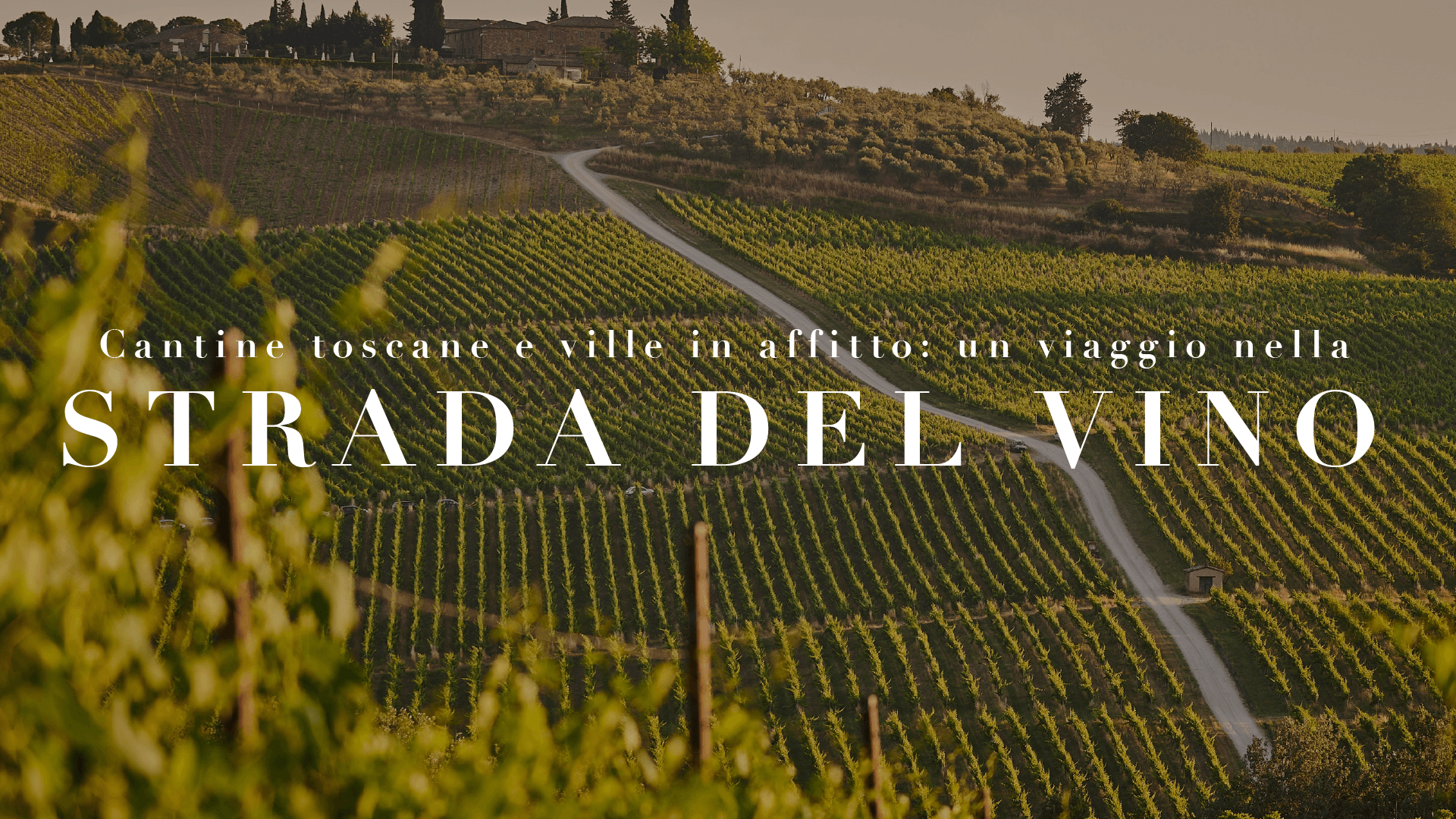 Strada del vino