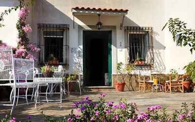 Villa Sorrentina: sorrento-hills-comfort-villa-massa-lubrense-villa-entrance