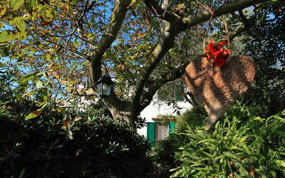 Villa Sorrentina: sorrento-hills-comfort-villa-massa-lubrense-villa-external