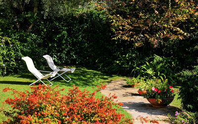 Villa Sorrentina: sorrento-hills-comfort-villa-massa-lubrense-villa-external