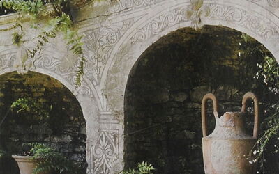 Villa Maggiore: Jardin