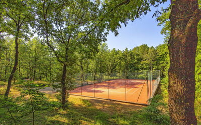 Villa Emozionale 18: Activités, Jardin