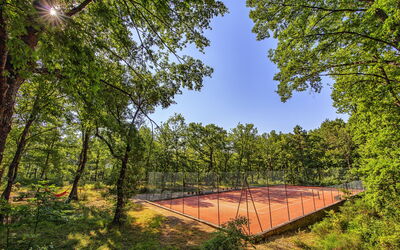 Villa Emozionale 18: Activités, Jardin