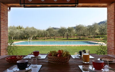 Villa Bacco: Balcony / Terrace / Patio, Garden, Outdoor, Pool