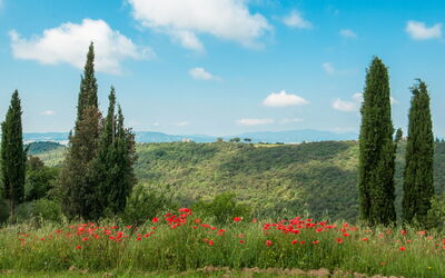 Villa Copernico: Garden, Scenic View