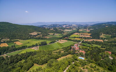 Torre Alcina: Garden