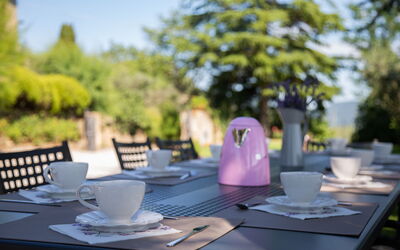 Villa Rosselli: Garden