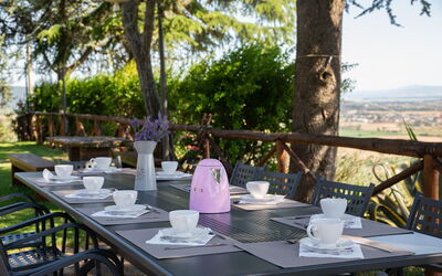 Villa Rosselli: Garden