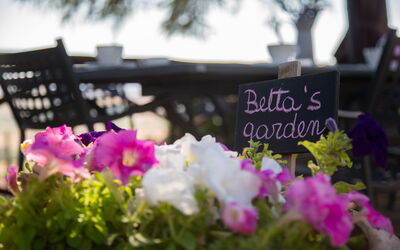 Villa Rosselli: Garden