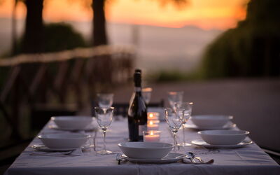 Villa Rosselli: Garden