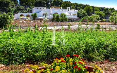 La Residenza - Corte dei Messapi