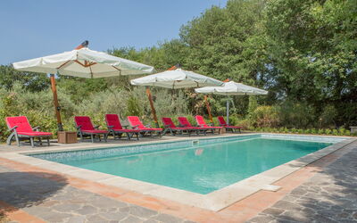 Podere San Biagio: Hoofd