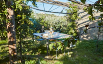 Villa Pirri
