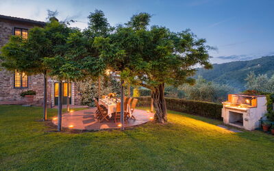 Villa Rinascimento: all'aperto, Esterni, Giardino