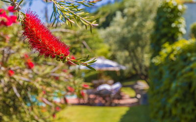 Villa Rinascimento: Dettagli della stanza