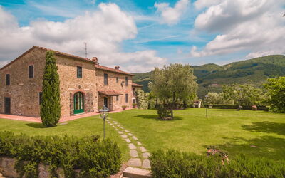 Villa Rinascimento: all'aperto, Esterni, Giardino