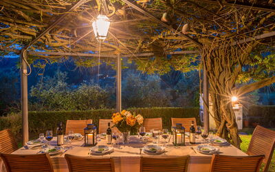 Villa Rinascimento: Dettagli della stanza, Giardino