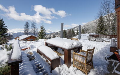Chalet Ariel