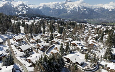 Chalet Ariel