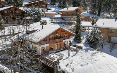 Chalet Ariel