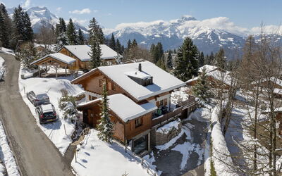 Chalet Ariel