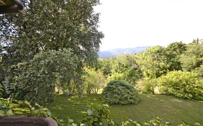 Giardino delle Ninfe: Garden