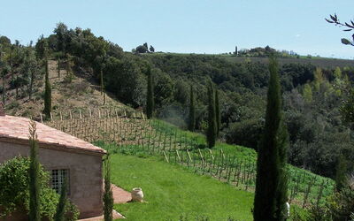 Calliope 10: Scenic View