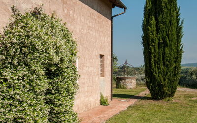 Calliope 10: Building Exterior, Garden