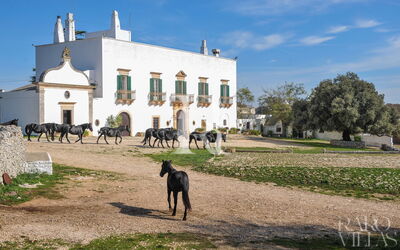 Masseria Tagliente