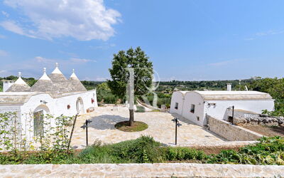 Trullo Oak