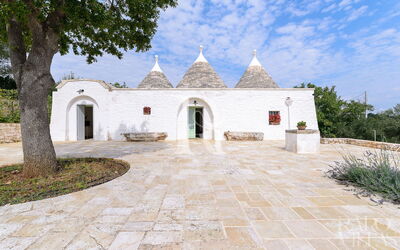 Trullo Oak
