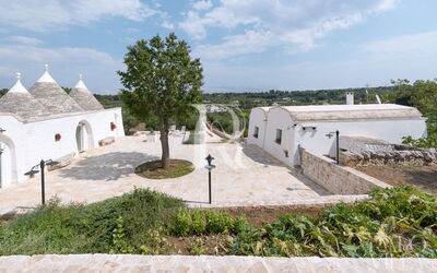 Trullo Oak