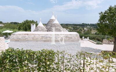 Trullo Oak