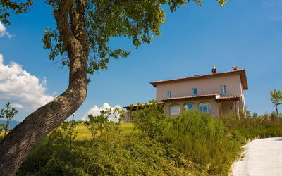 Villa Fiorenza: Building Exterior, Garden, Outdoor, Scenic View