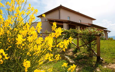 Villa Fiorenza: Building Exterior, Garden, Outdoor, Scenic View