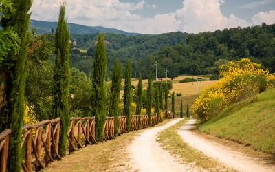 Villa Fiorenza: Garden, Scenic View