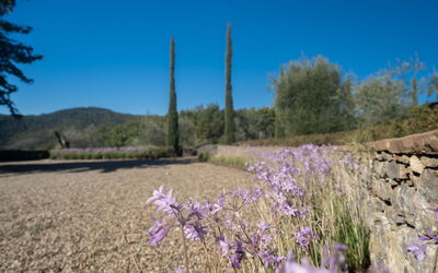 Villa Bovari: detail