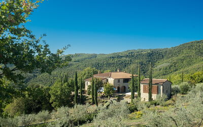 Villa Bovari: Vista from our vineyard