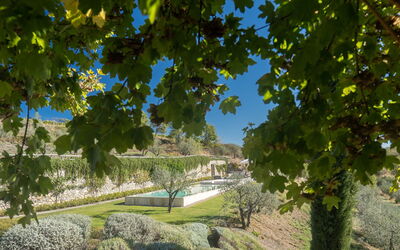 Villa Bovari: View of the pool