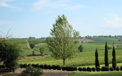 Dimora degli Archi: Garden and panoramic view
