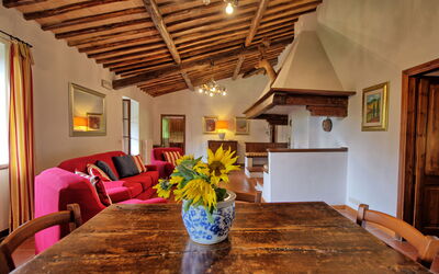 Palazzo Brando: Salon