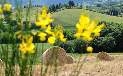 Palazzo Brando: Extérieur