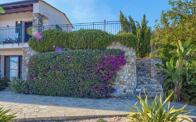 Villa Ranieri: Garden