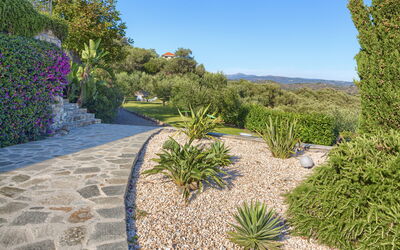 Villa Ranieri: Garden