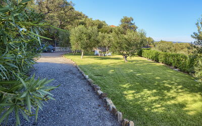 Villa Ranieri: Garden