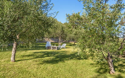 Villa Ranieri: Garden