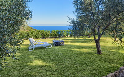 Villa Ranieri: Garden