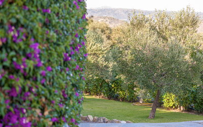 Villa Ranieri: Garden