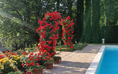 Palazzo Salieri- Weddings and